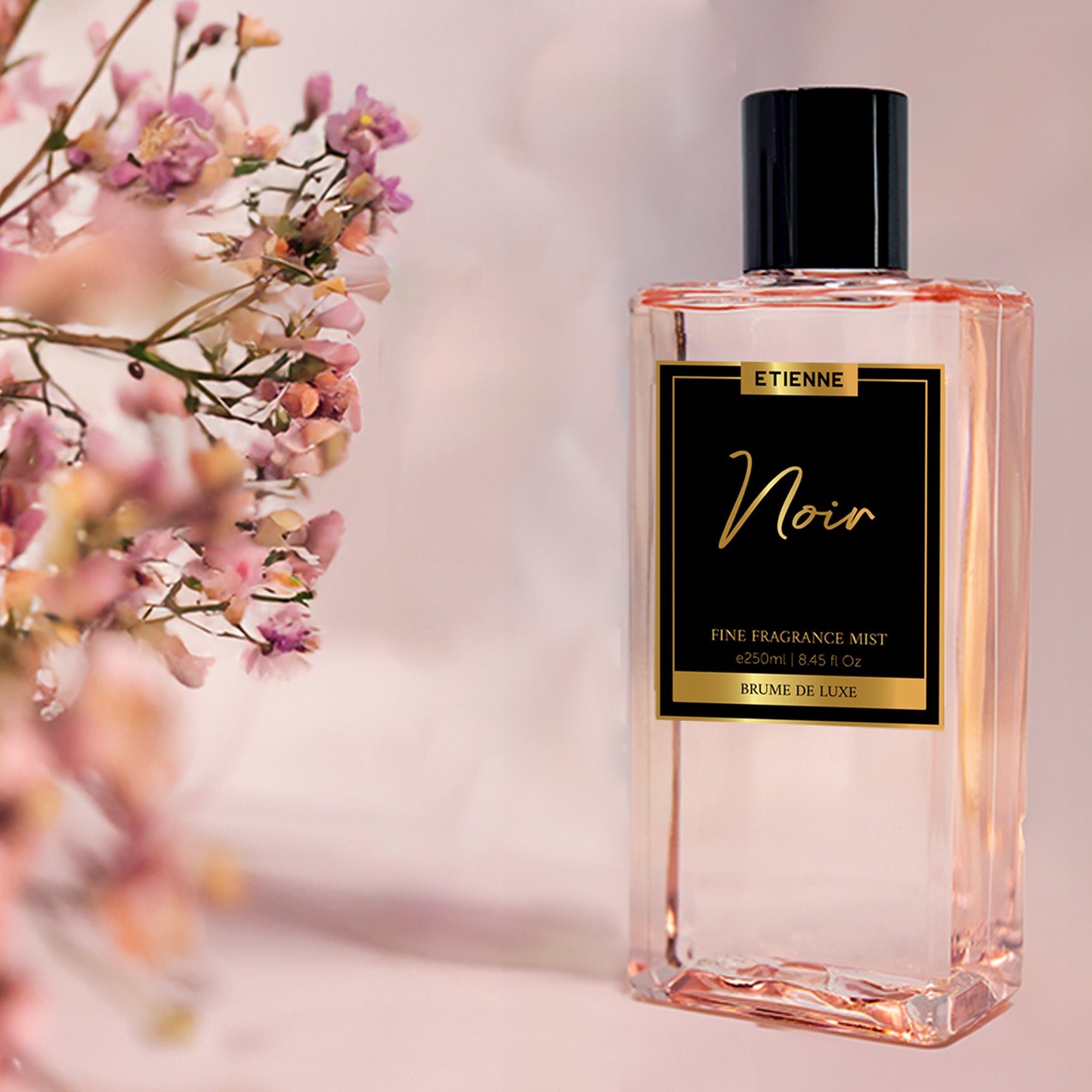 ETIENNE BODY MIST DELUXE NOIR 250ML